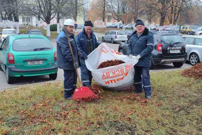 Неделя наведения благоустройства и поддержания порядка на территории комбината