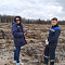 Неделя леса – 2022